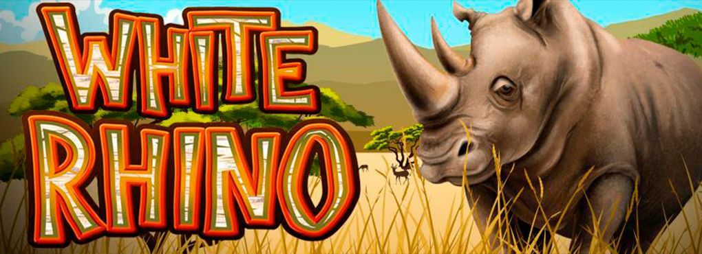 White Rhino - A Safari Slot Like No Other
